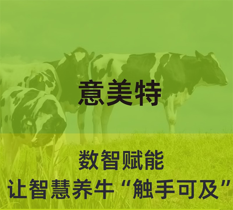 數(shù)智賦能，意美特讓智慧養(yǎng)牛“觸手可及”